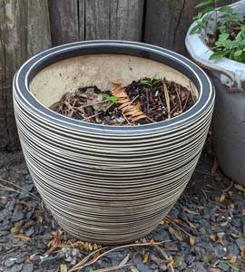 lot 100 image: Three Decorative Planters