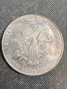 1999 AMERICAN SILVER EAGLE 1 TROY OZ .999 FINE SILVER