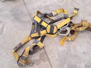 lot 110 image: Sala Harness with Lanyard