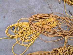 lot 243 image: Lot of (2) Long Extension Cords