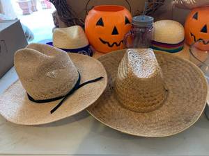 lot 162 image: Halloween Costume and Entertaining Ideas