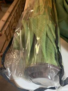 lot 188 image: Large Patio Umbrellas