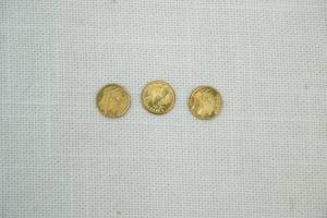 Gold Coins