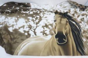 Blanket