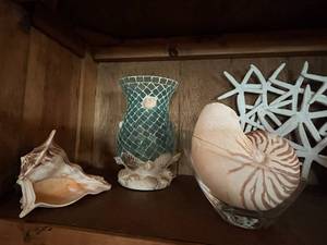 lot 177 image: Shells and Starfish Lot