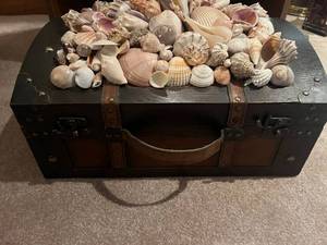 lot 226 image: Sea shell treasure chest 18x10x13