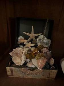 lot 254 image: Sea Shell Lot