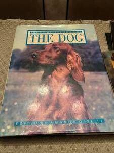 lot 377 image: Golden Retriever Book and Calendar lot