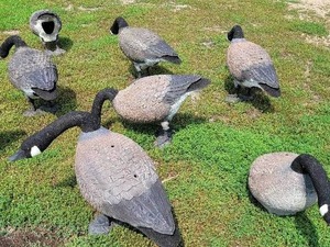 11 Stand up Goose Decoys