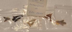 lot 65 image: Early Native American Indian True Arrowheads Bird Points
