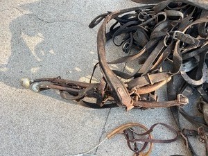 lot 289 image: Horse Tack