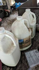 lot 192 image: Lot of 3 gallons of Sunnyside deck wash