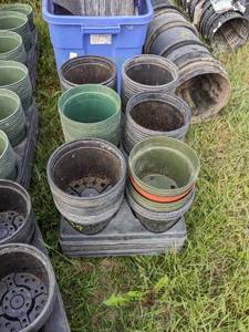 lot 139 image: Lot of 10 carrying trays with 60 1 quart (6 in.) round pots