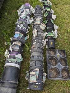 lot 142 image: Lot of 50 2 gallon 2 - 3 gallon Nursery Pots w slits