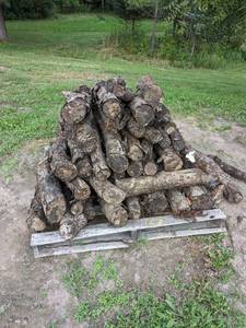 lot 163 image: Pallet of Apple Wood for smoking