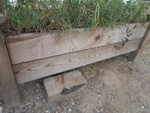 lot 116 image: Raised Bed  Planter