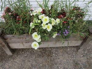 lot 103 image: Raised Bed  Planter