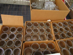 lot 128 image: Canning Jars