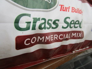 lot 131 image: Grass Seed