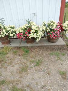lot 117 image: Three Round Planters