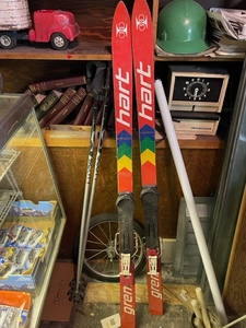 lot 196 image: Skis and Poles
