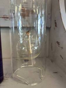 Wolfard Glass Hand Blown Oil Lamp