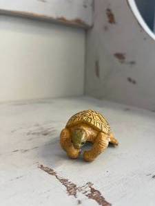 Small decorative turtle