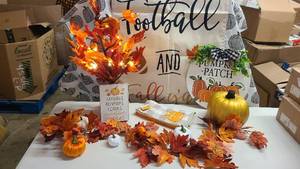 Fall Home Decor Collection