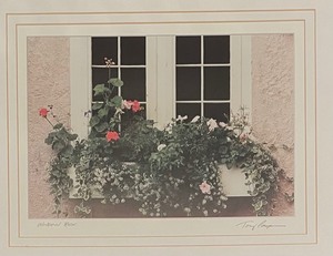 lot 146 image: Window Box Framed Print by Tony Casper