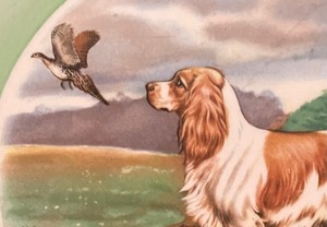 lot 152 image: Royal Staffordshire English Spaniel Collectable Dog Plate by Clarice Cliff