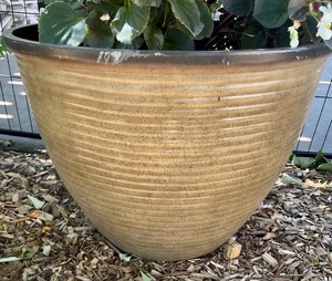 lot 159 image: Pretty Resin Planter