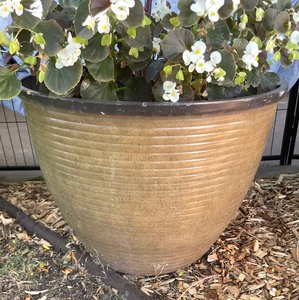 lot 160 image: Pretty Resin Planter #2