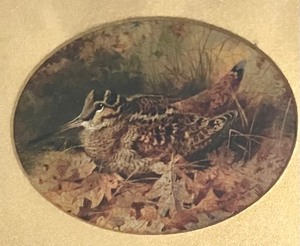 lot 171 image: Vintage Woodcocks Prints by Archibald Thorburn