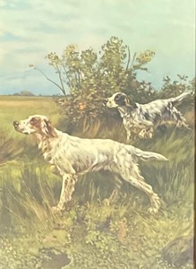 lot 121A image: Two English Setters on Point Framed Print by Thomas Blinks