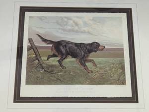 lot 188 image: Framed Gordon Setter Print
