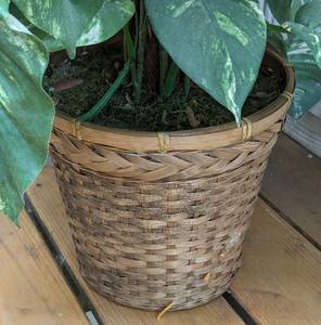 lot 201 image: Potted Faux Plant