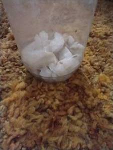lot 38 image: Jar of Quartz Crystals