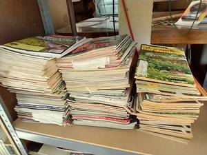 lot 67 image: HUGE Lot of Gardening Magazines