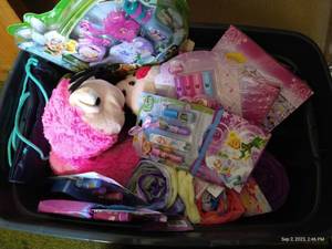 lot 173 image: Girl Toy Lot