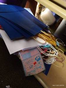 lot 176 image: Big Lot Paper Craft Bags