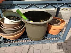 lot 302 image: Terra Cotta & Plastic Pots & Trowels