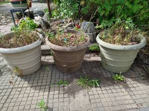 lot 310 image: Three Giant Plastic Planters