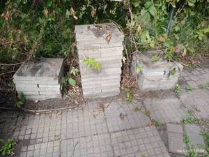 lot 311 image: 60 Rectangle Cement Pavers