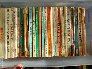 lot 346 image: Vintage Golden Guides Nature Book Lot
