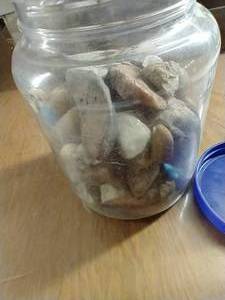 lot 361 image: Jar of Rocks - Variety
