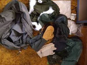 lot 368 image: Huge Military Cold Weather Gear Lot - Much is New