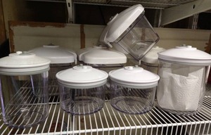 lot 244 image: 8pc Food Saver Containers