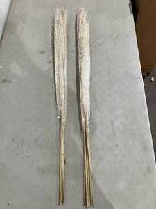 lot 183 image: Set of 2 Pampas Grass - 40 inches