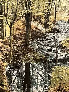 Butler Creek by David Curles - Numbered 103500