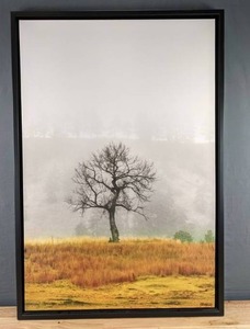lot 46 image: Alan Hairsine Wrap Canvas Center Stage Framed Wall Dcor D